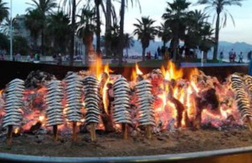 PARQUE DEL MEDITERRANEO - Photo 57