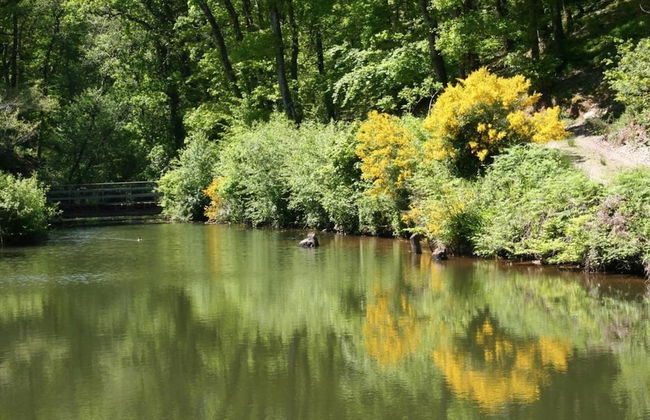Davy Cottage in the Countryside With Horse Riding - Photo 24