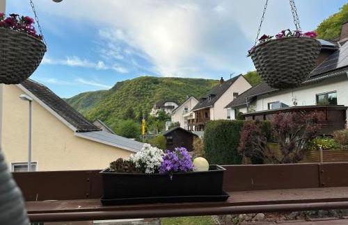 Blick auf den Rhein - Foto 45