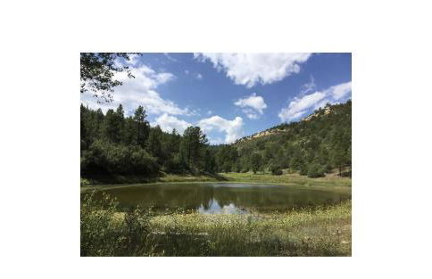 Valentine's Northern New Mexico Mountain Ranch on Colorado Border retreat - Foto 15