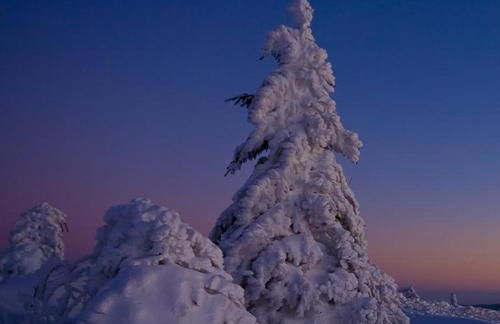 Haus Kuchler - Foto 22