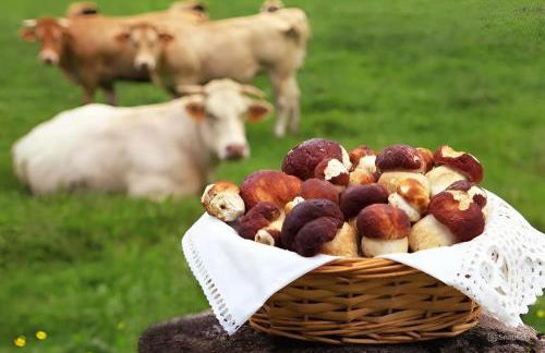 Vivienda Rural Perotxenea Landetxea - Foto 48