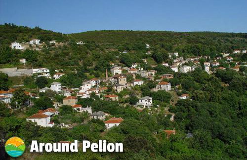 Panorama Studio Afetes - Photo 39