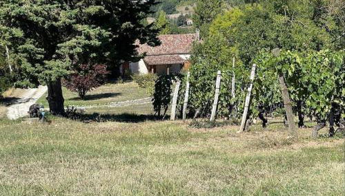 Gîte au cœur des vignes - Foto 5