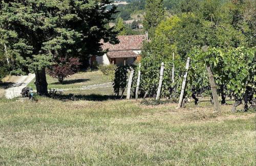 Gîte au cœur des vignes - Foto 5