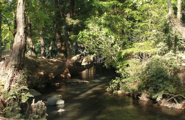 Country House In The Woods With River - Foto 23