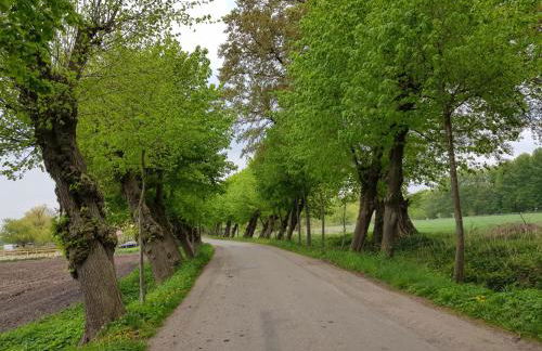 Ferienwohnung Varus - Foto 33