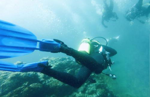 The tulip Marina Highrise with ocean view - Foto 69