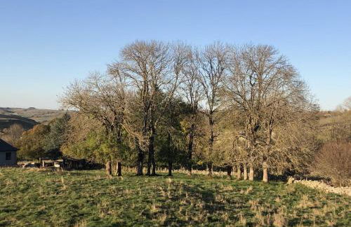 L'estive gîte 4 étoiles - Foto 36