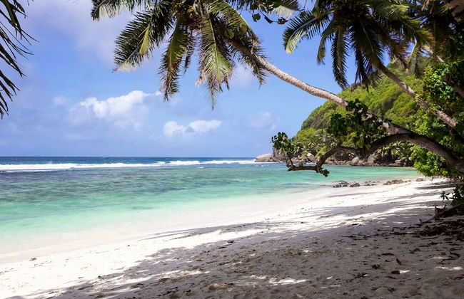 Surfers Self-Catering Chalets - Photo 23