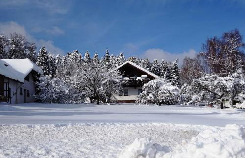Cozy Holiday Home in Loßburg near Ski Area - Photo 57