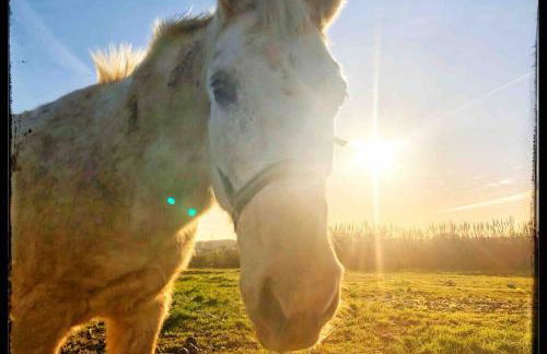 baleal penthouse - Foto 26