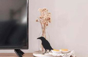 Casa dAmélia - Photo 12