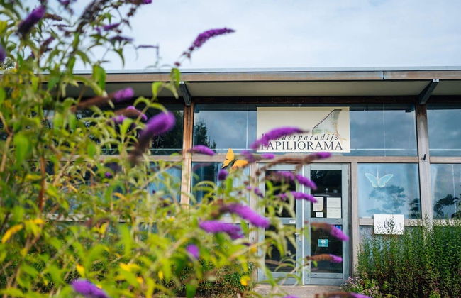 Holiday Home for Group With Sauna and Pool - Photo 41