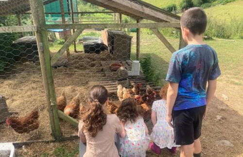 Ruby's Retreat! Farm Stay! North devon! Sleeps 6! Beaches Exmoor! - Foto 53