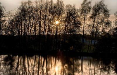 Shanthi Lodge - Photo 2