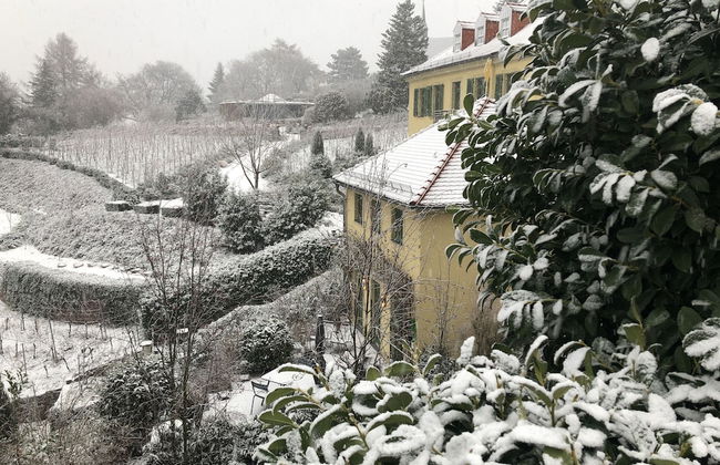 Rebenhaus Meißen - Foto 44