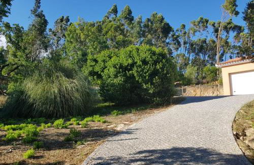 Luar do Cano - Foto 17