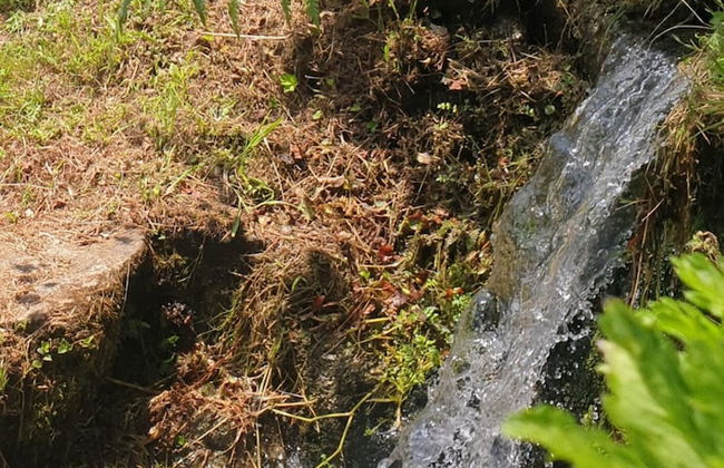 Quinta da Costeira - Casa Azul do Limoal - Foto 22