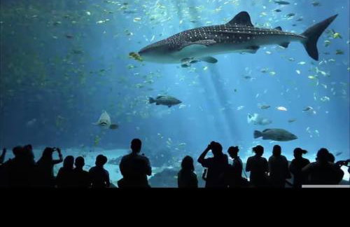 Centro do Rio - 2Q suíte, varandas e lazer completo - Foto 39