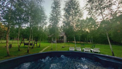 Zbychowskie Zacisze - Foto 3, Garden, sunbed, Garden view