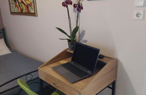 Urban Penthouse - Photo 5