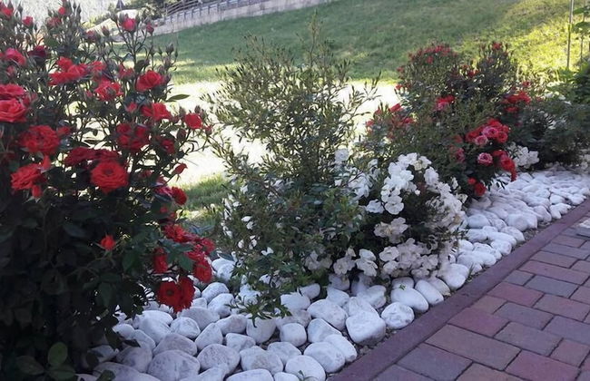 Agritur Sole Levante - Foto 51