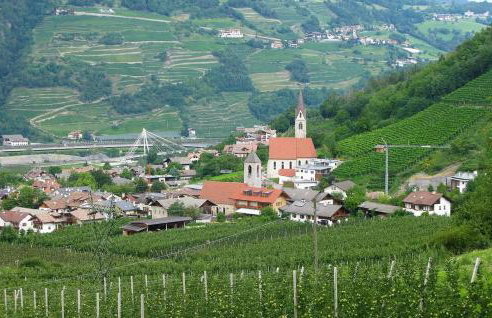 Sommersbergerhof 2017 - Photo 26