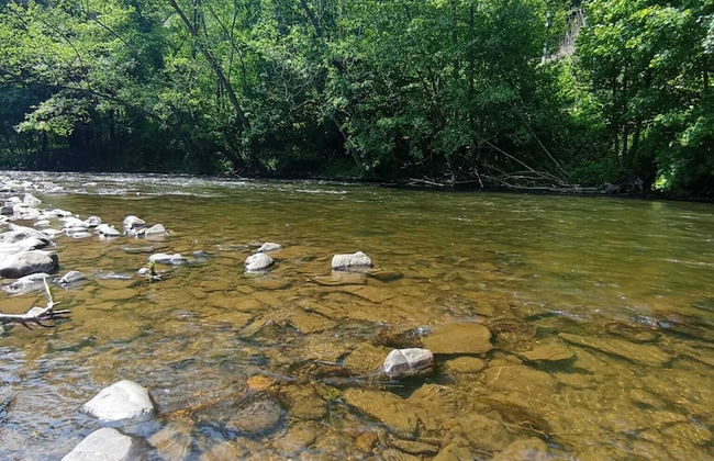 La Villa "les Pieds Dans L'eau" - Foto 39