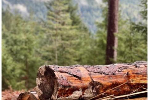 Traumblick FeWo mit Pool - Foto 33