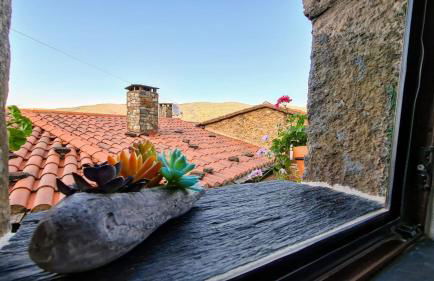 Casa Catraia Gondramaz no Pulmão da Serra da Lousã - Foto 1