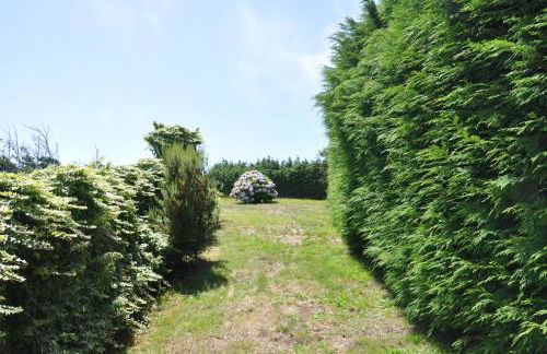 Luxury VILLA CAMÉLIA. Mountains, golf, horses, levada walks. - Foto 50