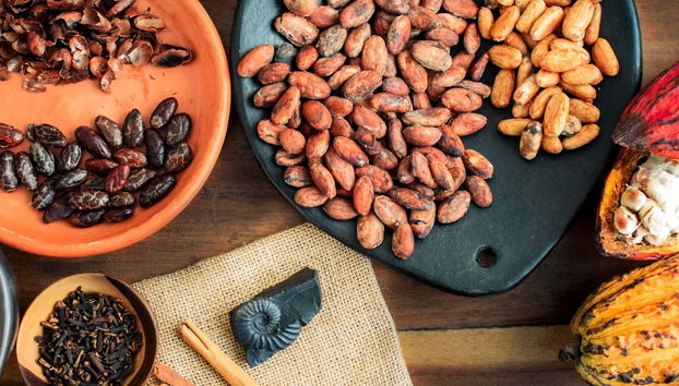 Tour do cacau por San Rafael