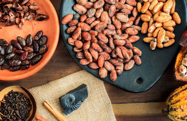 Tour do cacau por San Rafael - Foto 4