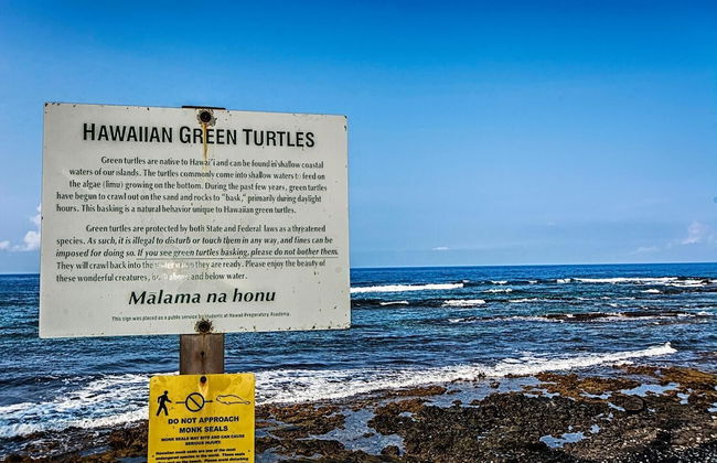 Keauhou Kona Surf & Racquet Club #3-101 "hale Malama Pono" - Foto 59