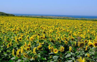 Casa do Cato - Foto 49