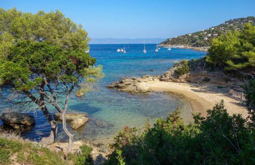 Absolument Levant - Foto 28