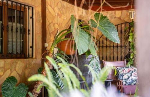 CASA LAZARO, TEGUESTE - Photo 43