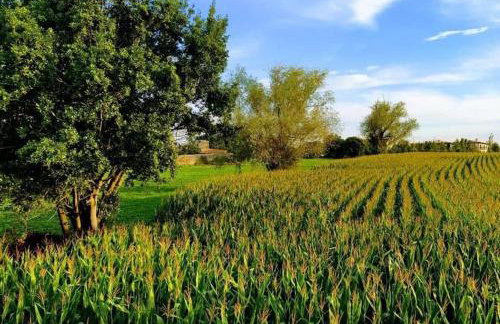 El Pinar de Arna - Photo 34