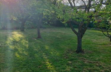 Casale del sole - Foto 12