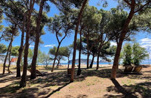 ALMA BEACH ESTARTIT - Foto 27