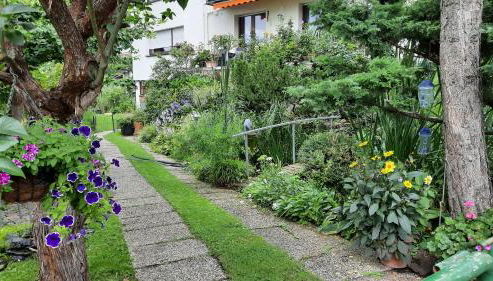 Am Teich - Foto 3, Garden, Garden view