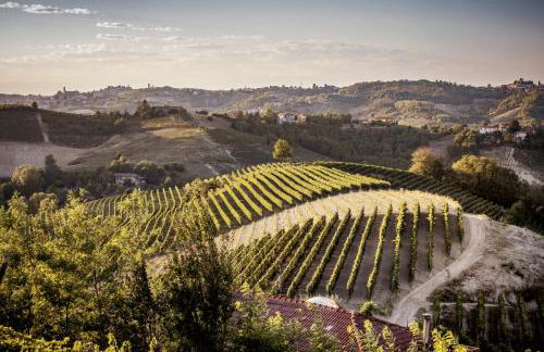 Villa Vinory - La Mandragola - Foto 60