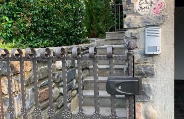 COTTAGE ROSE - Photo 4