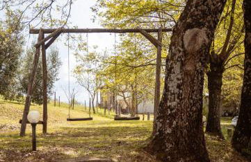 Bio Agriturismo I Lapi - Foto 27