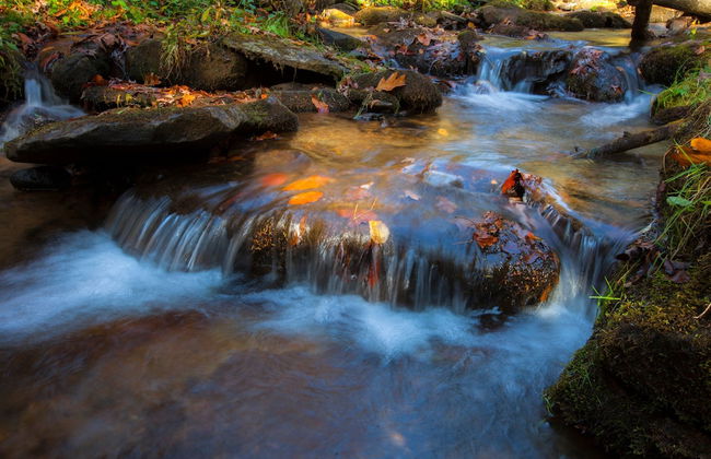 Canopy Escape by Taylor Made Deep Creek - Foto 24