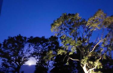 Wildthorn Cottage - Foto 16