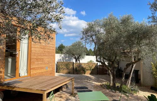 La Tiny House des Oliviers et son jacuzzi - Foto 20