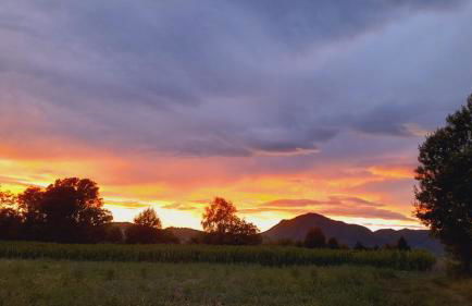 VILLA DEI TRAMONTI - Foto 32