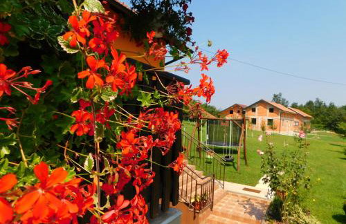 Apartment Petrovic - Foto 7